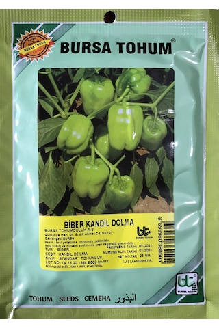 Biber Tohumu Kandil Dolma 25 GR 3000 Adet Tohum