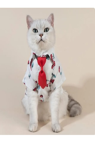 Patici Misss Kiraz Desen Kedi Köpek Yazlık Gömlek Papyon Kravat Üçlü Takım XL