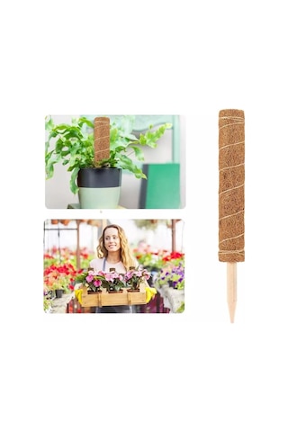 Gardener KKS110 Koko Sarmaşık Çubuğu - 110 cm