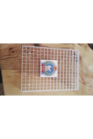 221lı Bıldırcın Gelişim viyolu