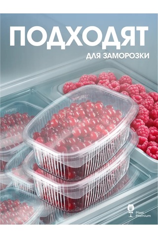Ecopakplast Kapaklı Tek Kullanımlık Yemek Kapları 500 Ml 30 Adet. 162965406 30