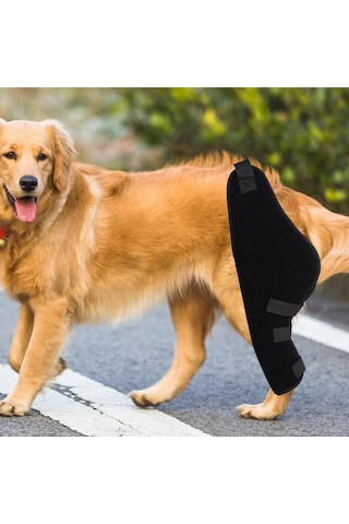 Homyl Köpek Dizlik Pet Dirsek Koruyucu Ped Burkulma Sol-arka