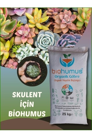 Kaktüs Ve Sukulent İçin, Organik Gübre, Organik Sertifikalı, Kök Geliştirici, Toprak Düzenleyici, Bitki Besleyici Diğer
