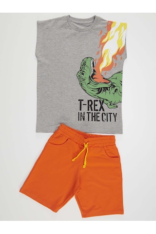 Denokids Mshb&g T-Rex Alev Erkek Çocuk T-Shirt Şort Takım Çok Renkli