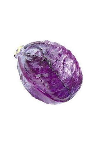 50 Adet Tohum Kırmızı Mor Lahana Kara Lahana Tohumu