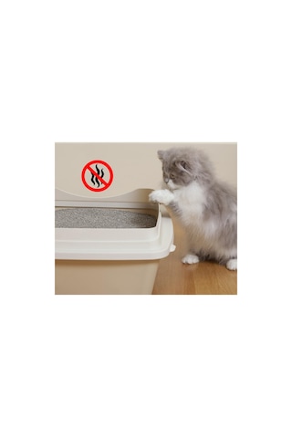 Purecanpati 4'lü Kedi Kumu Koku Giderici Lavanta