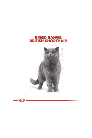 Royal Canin British Shorthair Adult Kedi Maması 4 Kg