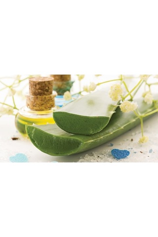 Babyhopeankara 160X200 Ortopedik Yayli Yatak 160*200 Çift Kişilik Yayli Yatak