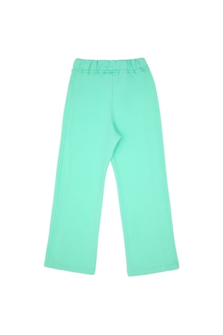 U.S. Polo Assn. Kız Çocuk Mint Şardonlu Eşofman Altı 50296368-VR090