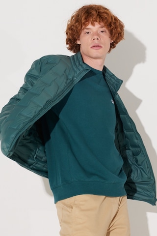 Regular Fit Normal Kesim Dik Yaka Mint Yeşili Şişme Ceket L232287300 Yeşil