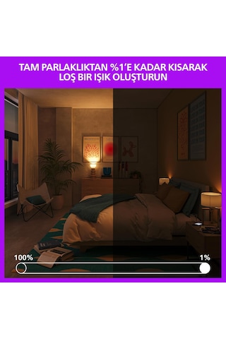 Smart Led Ampul A60 E27 60w Eşdeğer Rgb - Google Home, Alexa, Homekit Ve Matter Uyumlu Diğer