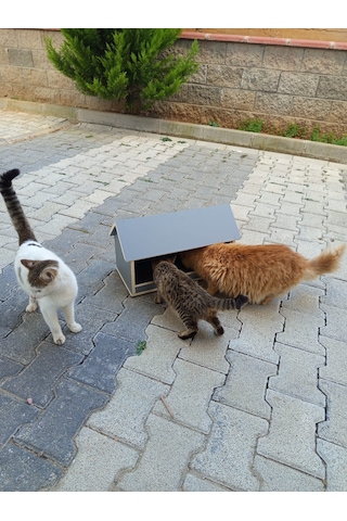 Ahşap Dış Mekan Suya Dayanıklı Kedi Yemlik Mamalık 22x45 Cm