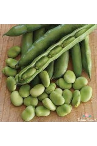 150 Adet Tohum Eko Paket Yerli Sakız Bakla Tohumu Adet Tohum