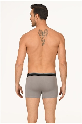 NBB Erkek Gri Penye Boxer