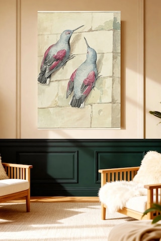 Mushen Studio Pembe Gri Kuşlar Sanat İllüstrasyonu Kanvas Tablo