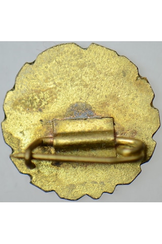 Macaristan Sosyalist Rozet-pin. 15,5 Mm Renkli Mineli.