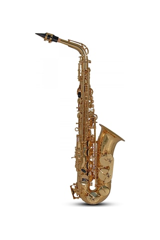 Roy Benson As-202 Alto Saksafon Başlangıç/eğitim - Eb Alto Pi