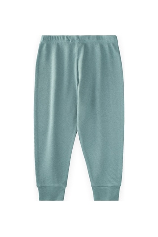 Cigit Tayt Pantolon 1-5 Yaş Mint Yeşili Mint Yeşili