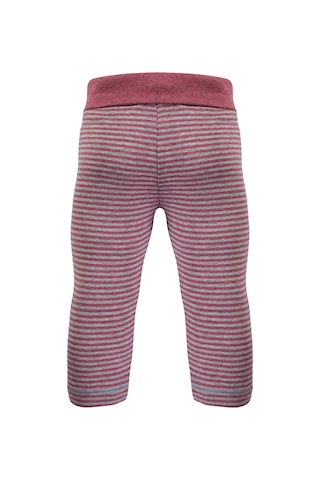 Organicera Organik Tayt, Çizgili , Bordo-grey