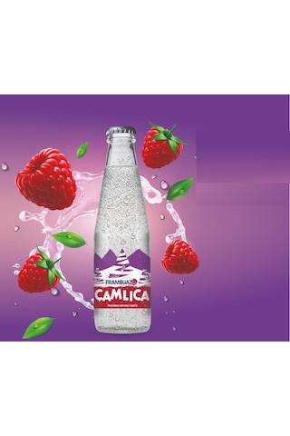 Çamlıca Frambuaz Aromalı Gazoz 200 Ml X 24 Adet