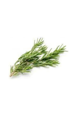 50 Adet Nadir Biberye Tohumu Biberiye Tohumu Saksı Toprak Hediye Sürpriz Hediye Tohumludur..