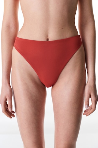 Penti Tarçın High Leg Slip Bikini Altı