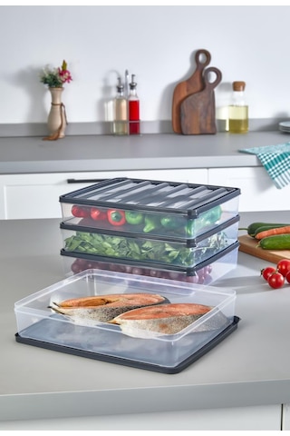 4 Adet 2500 Ml Dondurulmuş Öğünlük Et Ve Sebze Saklama Kabı