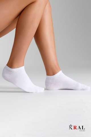 Kral Socks Pamuklu Terletmez Unisex Sneaker Çorap 6 Çift Beyaz