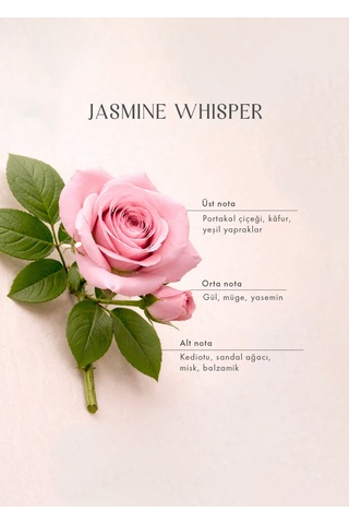 Bella Maison Jasmine Whisper Çubuklu Oda Kokusu Mavi 100 Ml Vanilya