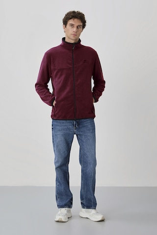 Tommy Life Erguvan Yazı Nakışlı Dik Yaka Fermuarlı Standart Kalıp Erkek Sweatshirt Polar - 87992 Mor