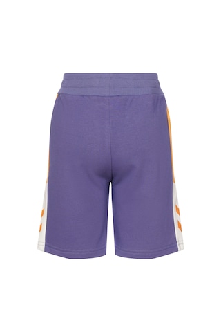 Hummel Alıne Çocuk Şort 932130-9963 Mor