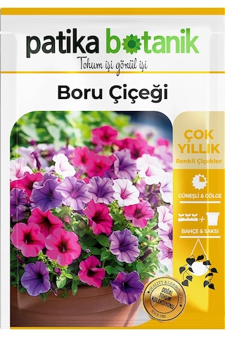 Patika Botanik 100 Adet Boru Petunya Petunia Çiçek Tohumu