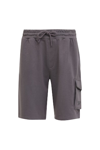 Reebok Dolphy Short Antrasit Erkek Şort Gri