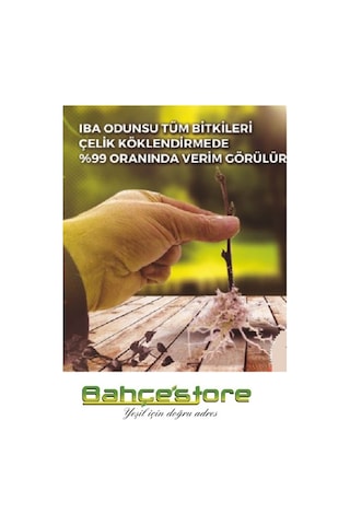 Iba ( Indole Butyrik Asit) Çelik Köklendirme Hormonu 5 Gr