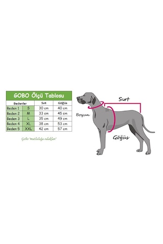 Gobo Tweety Desenli Kedi Köpek Tişörtü Kıyafeti