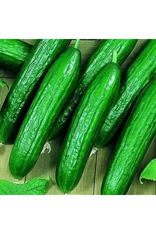 Bol Döken Kokulu Beith Alpha F1 Salatalık Tohumu 10 Adet