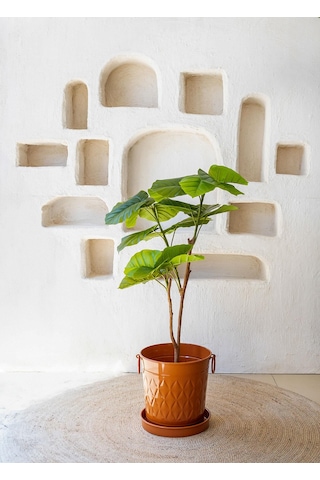 The Mia Yapay Ficus Umbellata Ağacı Yeşil 120 Cm