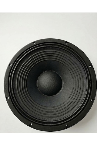 15 Inch Hoparlör Spa1508