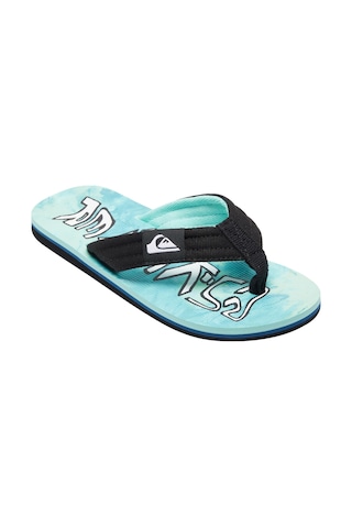 Quıksılver Quiksilver Molokai Layback Iı Youth Erkek Çocuk Yeşil Terlik Xgby
