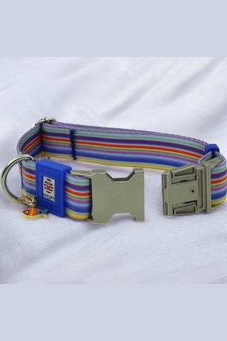 İsimli Köpek Tasması, Orta Ve Büyük Irk, Metal Kilitli Maviçzgmtl Mavi