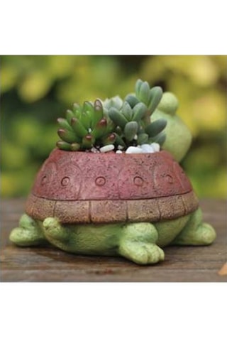 Florada Dekoratif Kaplumbağa Saksı Sukulent Saksısı Kaktüs Saksısı El Işçiliği