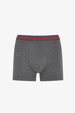Penti Erkek Renkli Classic Core Çoklu Boxer