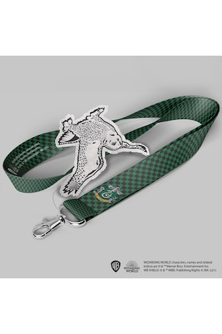 Wizarding World - Harry Potter - Boyunluk - Slytherin Çok Renkli