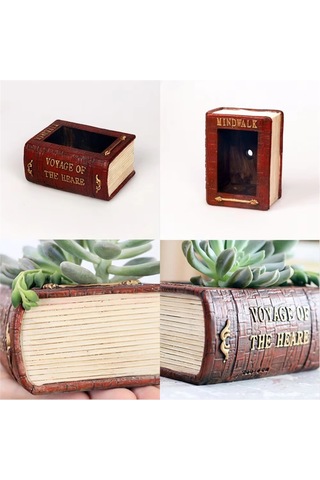 Edebiyat Kitabı Sukulent Saksı Gerçekçi Kitap Saksı