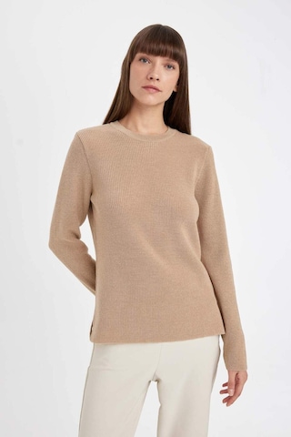 DeFacto Regular Fit Bisiklet Yaka Simli Kumaş Triko Kazak D0405AX24WNBG647 Bej