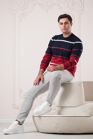 Dorss Slimfit Bisiklet Yaka Çizgili Pamuklu Erkek Spor Kazak 001