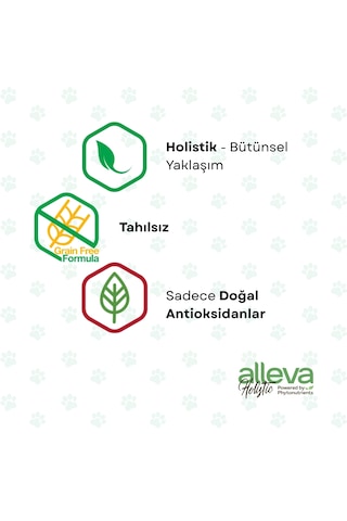 Alleva Holistik Kuzulu & Geyikli Tahılsız Mini Irk Yetişkin Köpek Maması 12 Kg