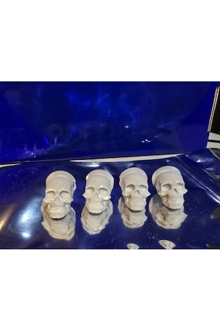 Kuru Kafa Sibop Kapağı 4'lü