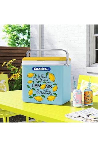 Ayrex Coolist Clb30lm Limon Desenli Buzluk, 30 Litre + 3 Adet Buz Kaseti 400gr Diğer