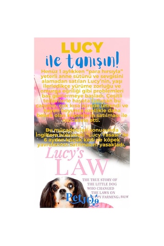Petjoo 11.Lucy Mavi-Sarı Qr'lı Köpek Künyesi
